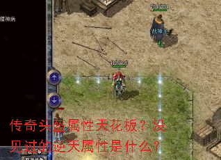 ����ͷ�������컨�壿û����������������ʲô��