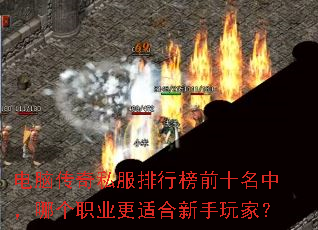 ���Դ���˽�����а�ǰʮ���У��ĸ�ְҵ���ʺ�������ң�