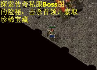 探索传奇私服Boss图的险秘：击杀首领，索取珍稀宝藏